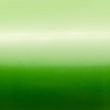 Avery Dennison SWF Light Green Pearl Gloss