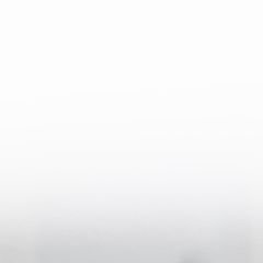 Avery Dennison SWF White Matt