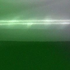 Avery SWF Colorflow Hidden Forest Gloss A4 Muster Car Wrapping Autofolie