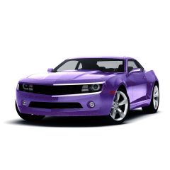 KPMF K75465 Purple/ Black Iridescent Gloss