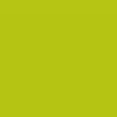 Metamark MM-CC-G67 Neon Green Gloss-Autofolie