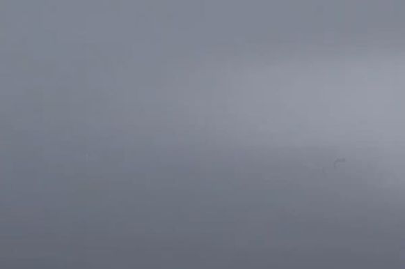 3M 2080-S51 Battleship Grey Satin-Autofolie