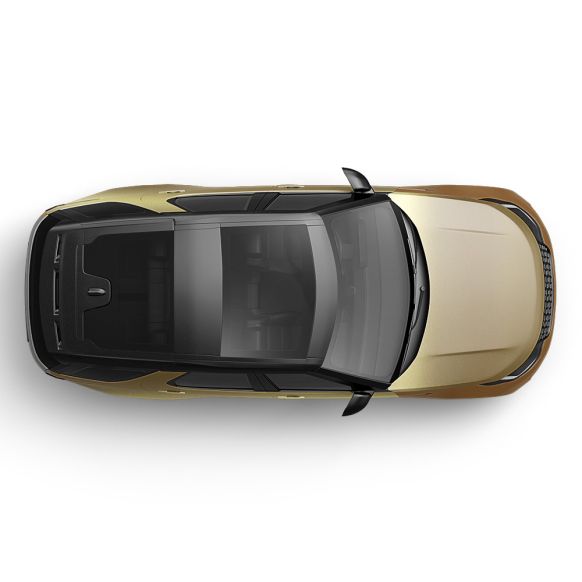 Oracal 970-995 RA Divine Gold Metallic Gloss